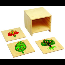 Botony Puzzle