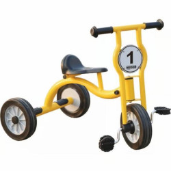 Economy Trike - Small