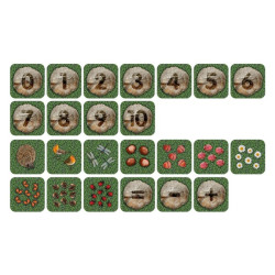 Counting Mini Carpets