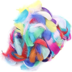 Feathers - Colored 20g