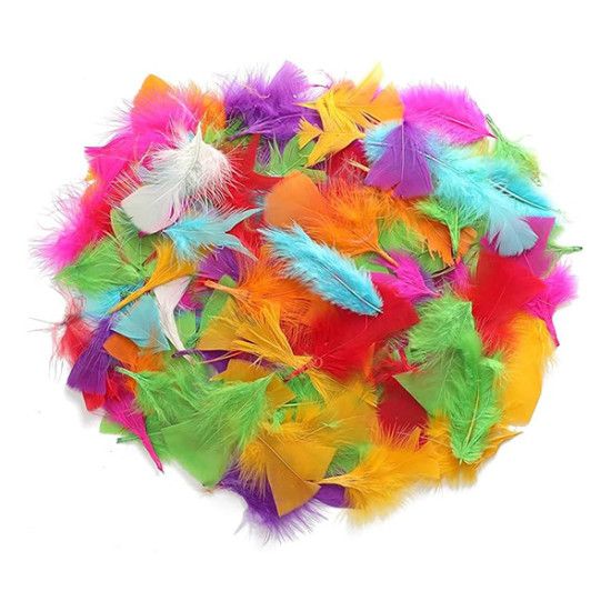 Feathers - Colored 50g