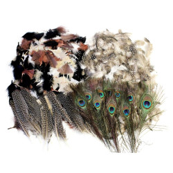 Feathers - Natural Assortment