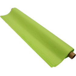 Tissue Paper - Light Green