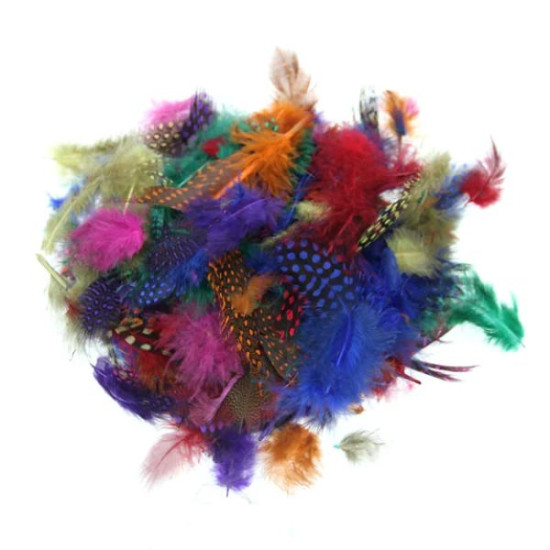 Feathers - Small Spot Plume 