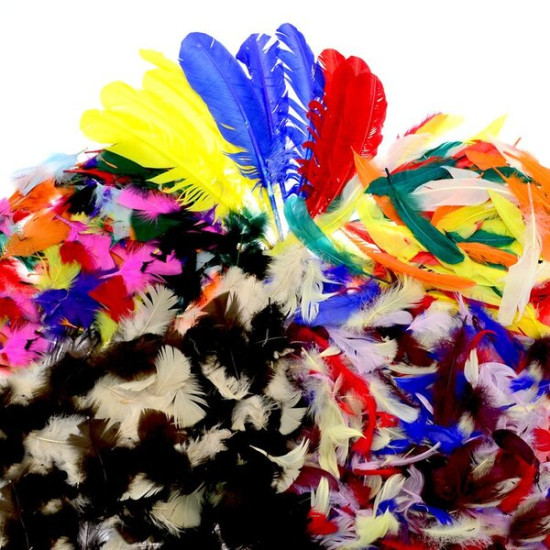 Feathers - Assorted 