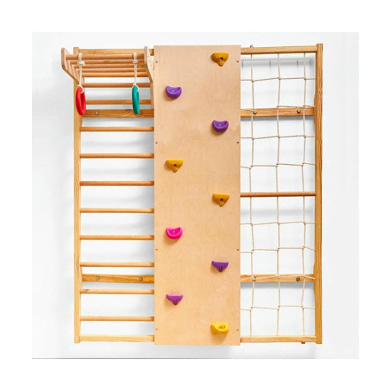 5-in-1 Jungle gym