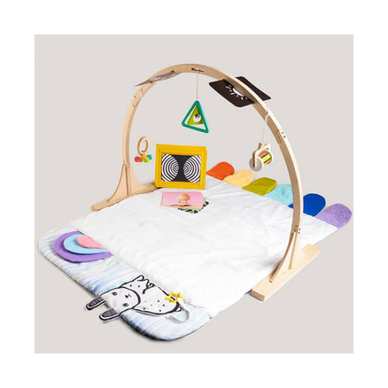 Newborn Playgym