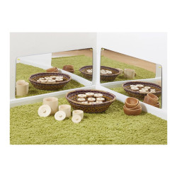 Windmill Vista Mirrors