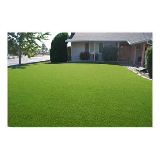 Landscape Grass