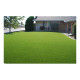 Landscape Grass