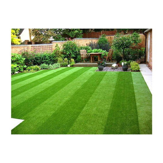 Landscape Grass