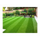 Landscape Grass