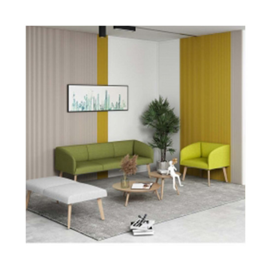Modern Leisure Sofa