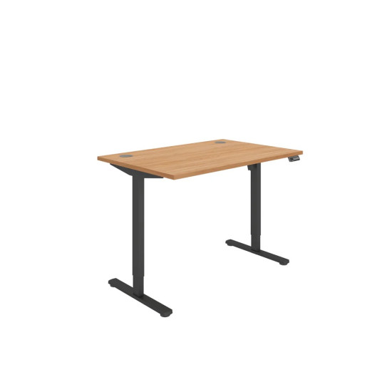 Rectangular Single Motor Sit Stand Desk