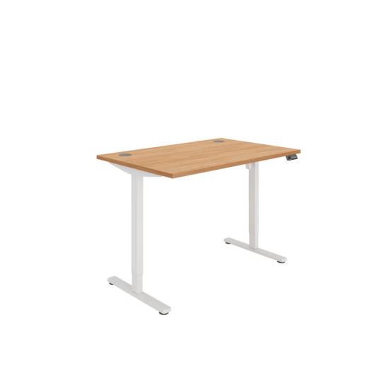 Rectangular Single Motor Sit Stand Desk