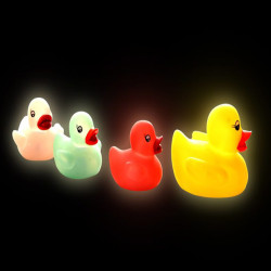 Flashing Duck Family