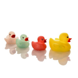 Flashing Duck Family