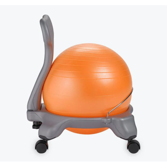 Balance Ball Chair
