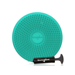 Wiggle Seat Little Sensory Cushion