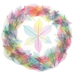 Leaves - Skeleton Colored