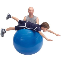 Gym Ball - Big