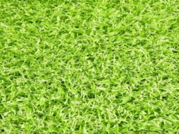 Lemon Artificial Grass