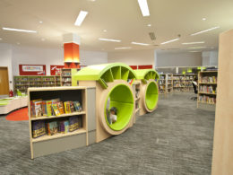 Woking Library 51